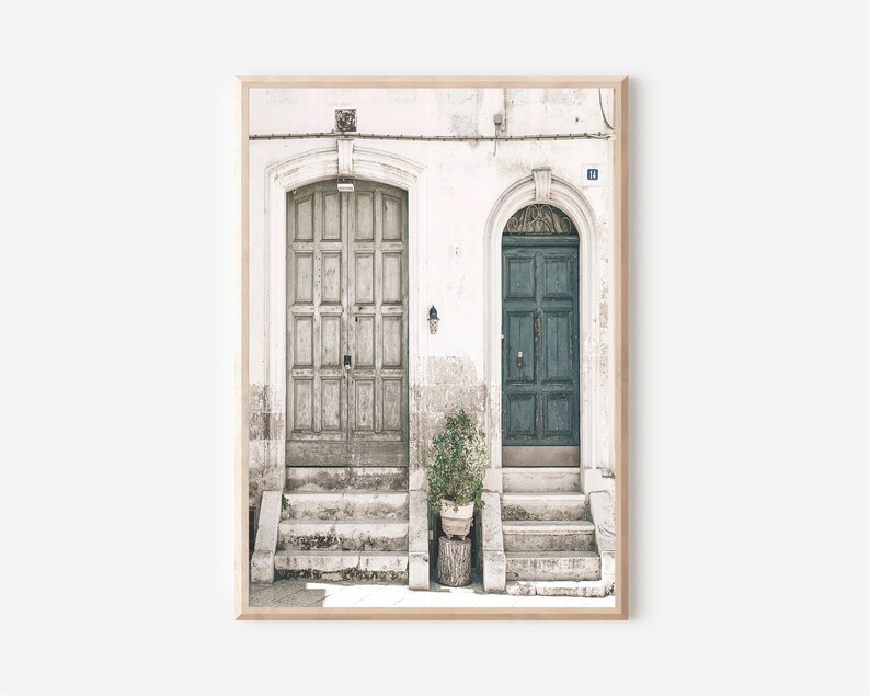 May include: Two doors, one painted a light wood color and the other a dark teal, are set into a white building with a potted plant in front of them. The doors are both arched and have steps leading up to them.