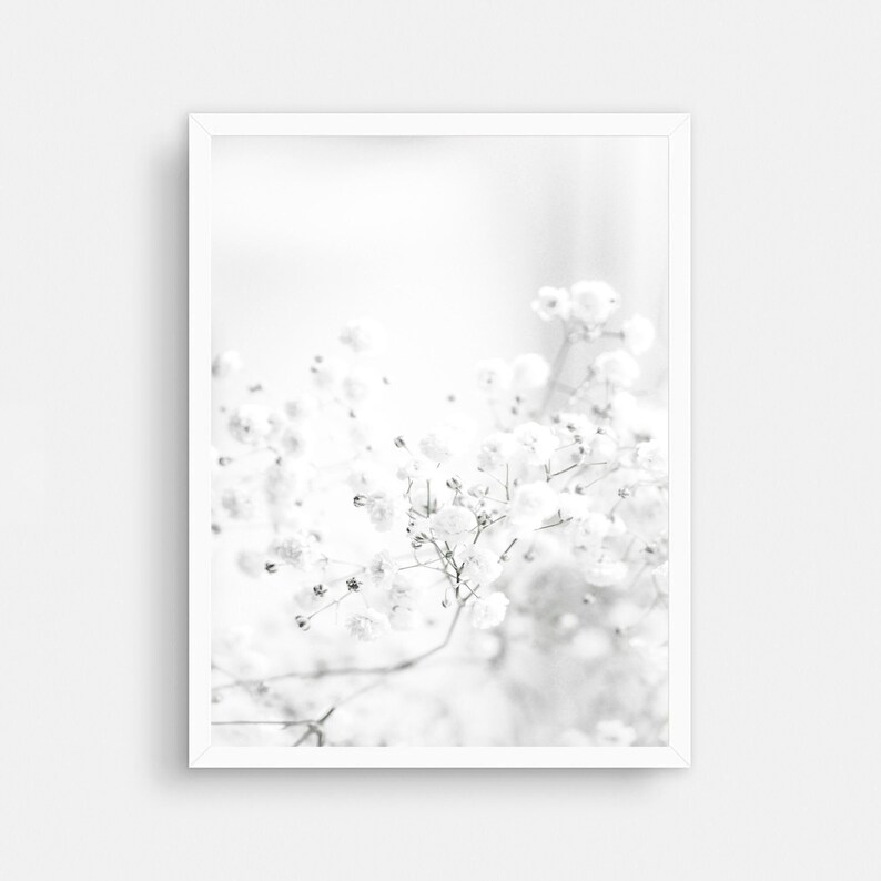 Pode incluir: Uma fotografia a preto e branco de um delicado cacho de flores brancas com um fundo suave e desfocado.