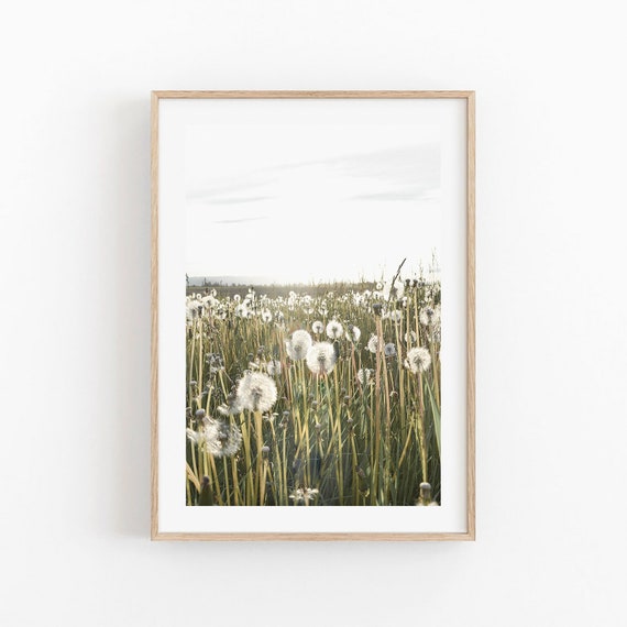 Dandelion Print, Dandelion Rustic Kitchen Art, Dandelion Flower Print, Farmhouse Decor, Botanical Print, Digital print, Dandelion Wall Art