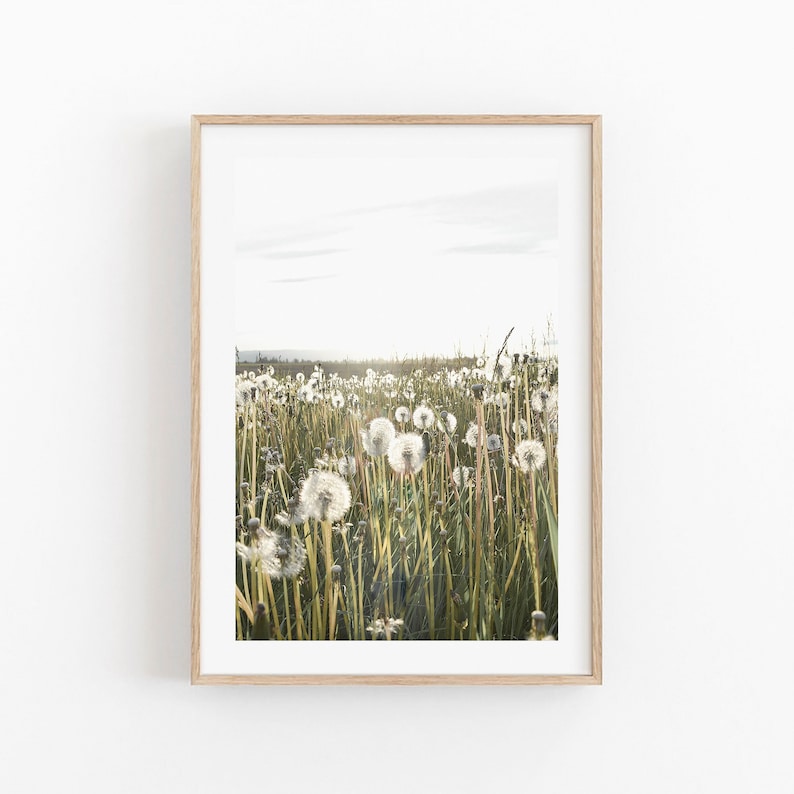 Maskrostryck, rustik kökskonst med maskrosmotiv, maskrosblomtryck, bondgårdsinredning, botaniskt tryck, digitaltryck, maskrosväggkonst bild 1