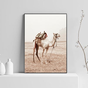 May include: A white camel with a saddle and rope halter stands in a desert landscape. The camel is facing to the right and the background is a hazy, light brown color.