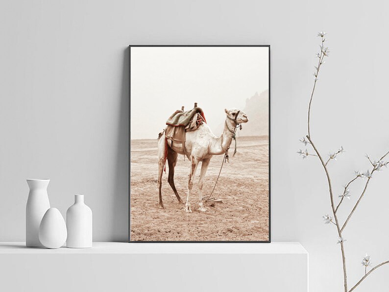 May include: A white camel with a saddle and rope halter stands in a desert landscape. The camel is facing to the right and the background is a hazy, light brown color.