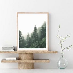 May include: A framed print of a misty forest scene with tall evergreen trees. The print is displayed on a wooden shelf with a clear glass vase and a sprig of greenery.
