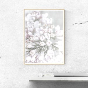 Lilac Wall Decor Print, Botanical Print, Shabby Chic Decor, Pink Floral Wall Print, Blush Pink Wall Art Decor, Bedroom Lilac Blossom Poster image 2