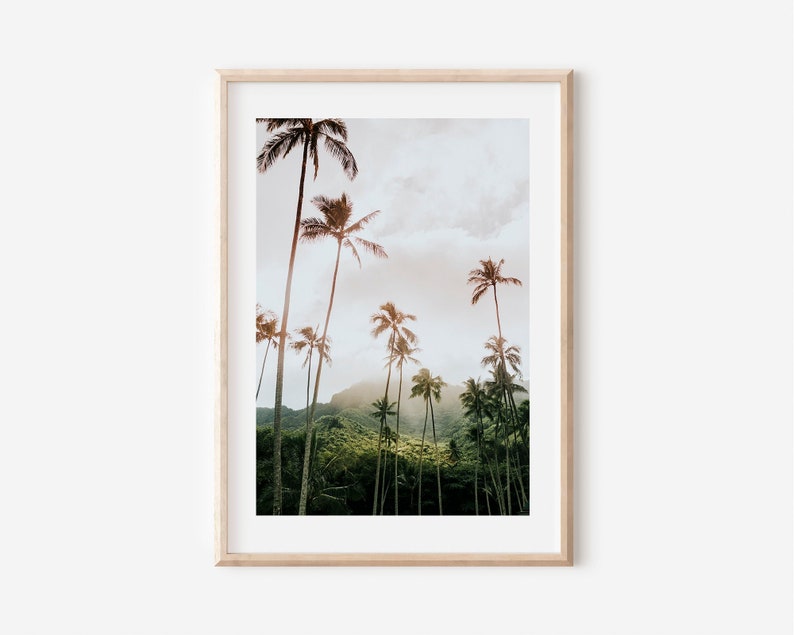 May include: A framed photograph of a tropical scene with tall palm trees silhouetted against a cloudy sky. The trees are in front of a lush green hillside.