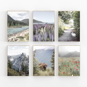 Nature Print Set of 6, Mountain Wall Art, Forest River Print, Modern Minimalist Poster, Nature Landscape Art Decor,Forest Art Print Set of 6
