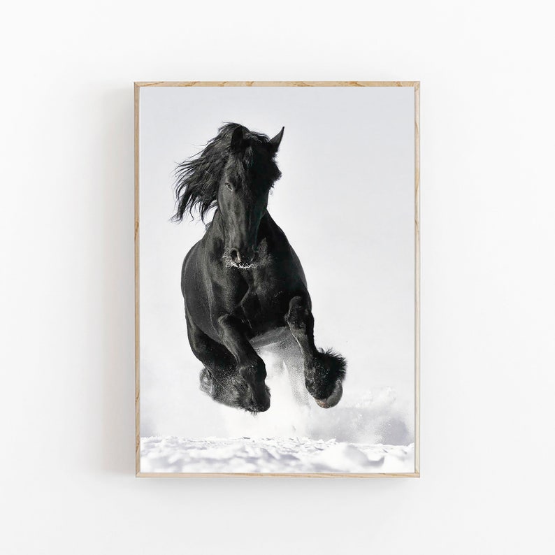 May include: A black Friesian horse leaps through the air, its mane flowing in the wind, against a white snowy background.