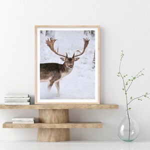 May include: A brown and white deer with large antlers stands in a snowy forest. The deer is looking directly at the camera.