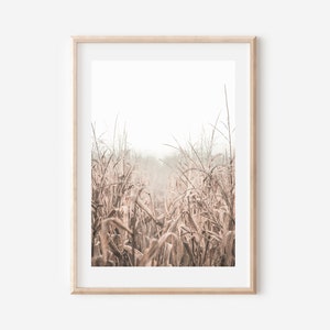 Peut inclure: Une photographie encadr&eacute;e d'un champ de hautes herbes s&eacute;ch&eacute;es dans des tons de brun et de beige. Les herbes sont &eacute;clair&eacute;es par le soleil, cr&eacute;ant une lueur douce et &eacute;th&eacute;r&eacute;e. L'arri&egrave;re-plan est un ciel blanc et brumeux.