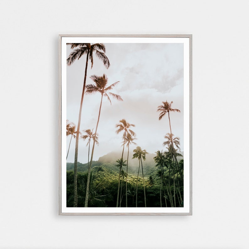 May include: A framed photograph of a tropical landscape with tall palm trees silhouetted against a cloudy sky. The trees are in the foreground, with a lush green mountain range in the background.