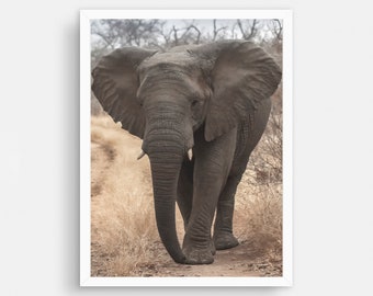 Elephant Print, Elephant Wall Art, African Animal Print, Safari Animal Wall Art, Safari Decor, Living Room Prints, Boho Print, Modern Decor