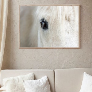 White Horse Print, Icelandic Horse Print, Modern Farmhouse Decor, Boho Printable, Scandinavian Wall Art, Icelandic Horse Close Up, Horse Art image 6