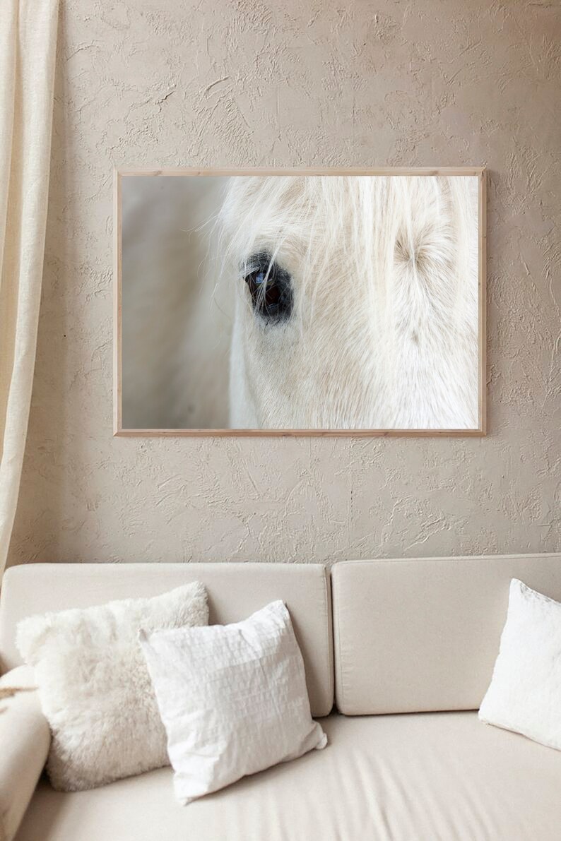 White Horse Print, Icelandic Horse Print, Modern Farmhouse Decor, Boho Printable, Scandinavian Wall Art, Icelandic Horse Close Up, Horse Art image 6