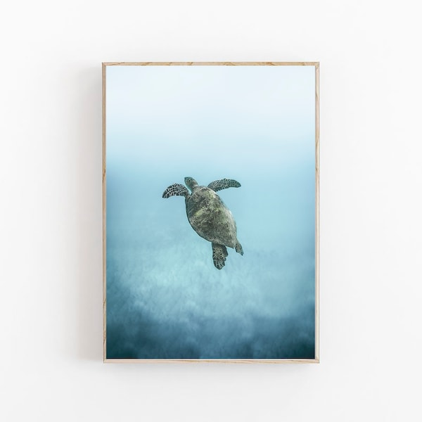 Zeeschildpad Art Print, schildpad poster, schildpad print, kunst aan de muur kust, decor van de kwekerij, kinderkamer dierenprint, zeeschildpad kunst aan de muur, oceaanprint