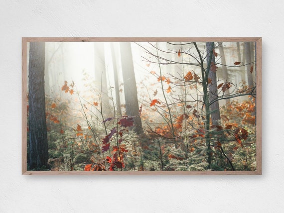 Samsung Frame TV Art, Autumn Trees Wall Art, Fall Leaves Decor, Frame TV Art, Samsung Art TV, Digital Download for Samsung, Autumn Art Print