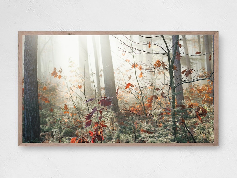 Pu&ograve; includere: Una scena di foresta nebbiosa con alberi alti e foglie cadute in tonalit&agrave; di rosso e marrone. La luce del sole splende attraverso gli alberi, creando un bagliore caldo.