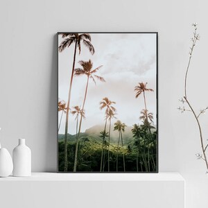 May include: A framed photograph of a tropical landscape with tall palm trees against a cloudy sky. The trees are silhouetted against a bright, orange sunset.