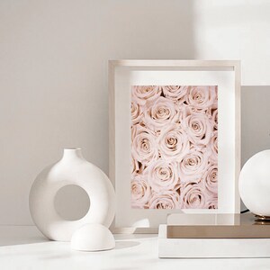 May include: A framed print of a close-up of a cluster of pale pink roses. The print is displayed on a white shelf with a white ceramic vase and a white ceramic sphere.