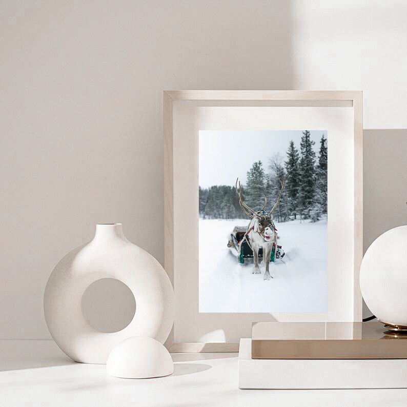 May include: A framed photograph of a reindeer pulling a sleigh through a snowy forest. The reindeer is wearing a red nose and is looking directly at the camera. The forest is covered in snow and there are trees in the background.