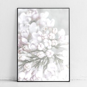 Lilac Wall Decor Print, Botanical Print, Shabby Chic Decor, Pink Floral Wall Print, Blush Pink Wall Art Decor, Bedroom Lilac Blossom Poster image 1