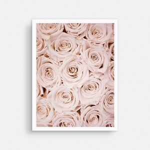 May include: A close-up image of a bouquet of pale pink roses. The roses are arranged in a tight cluster, with their petals overlapping and creating a soft, romantic effect.