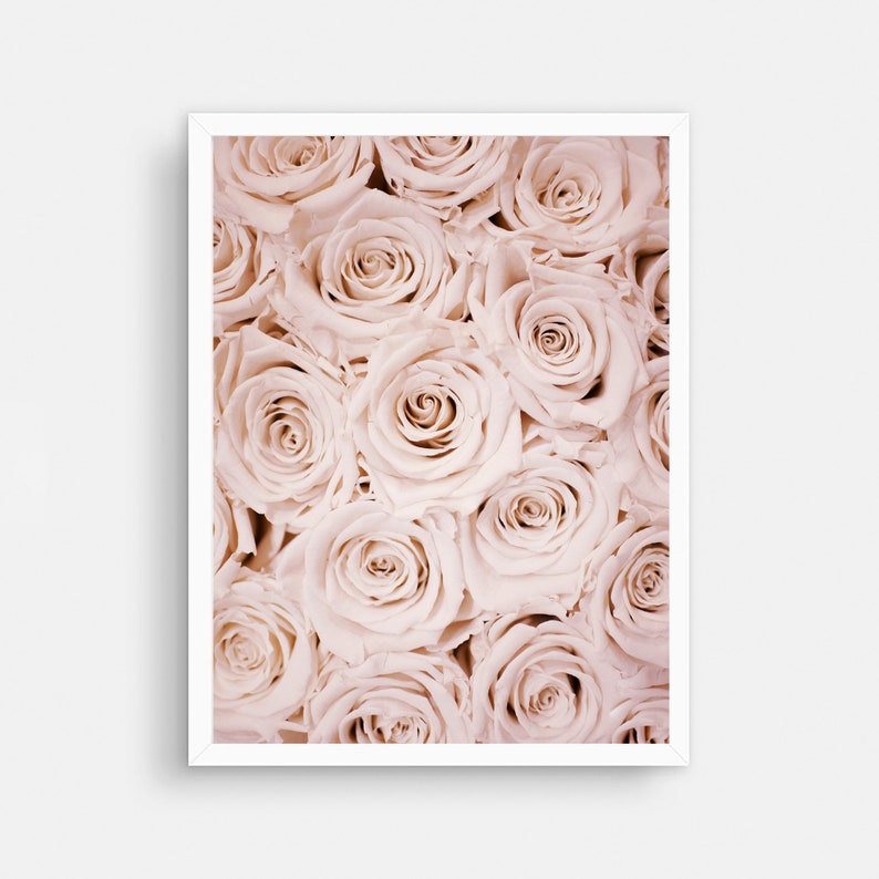 May include: A close-up image of a bouquet of pale pink roses. The roses are arranged in a tight cluster, with their petals overlapping and creating a soft, romantic effect.