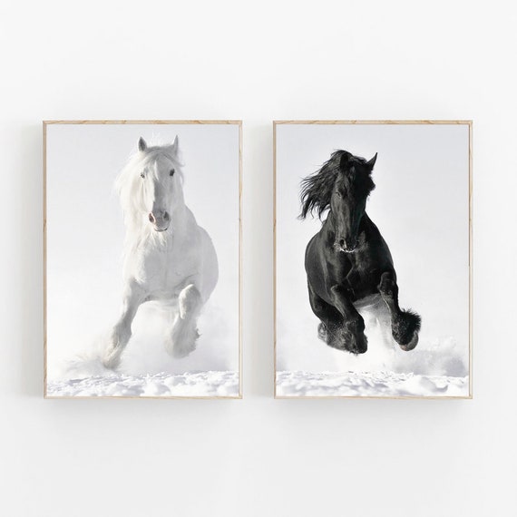 Running Horses Print Set, Black and White Photo, Wild Horse Art (Digital Download)