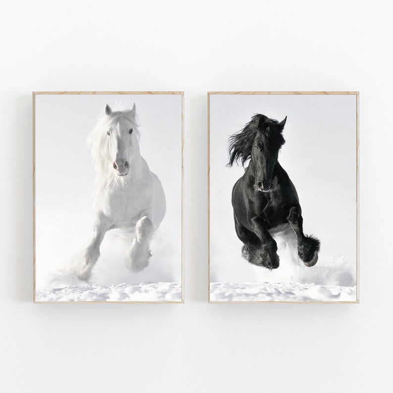 May include: Two framed photographs of horses running in the snow. The horse on the left is white and the horse on the right is black.
