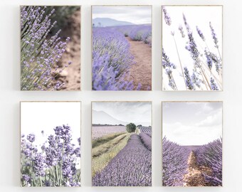 May include: Six framed prints featuring lavender fields in various compositions. The images showcase close-ups of lavender blooms and expansive views of the purple fields with dirt paths and distant mountains. The frames have a light wood finish.