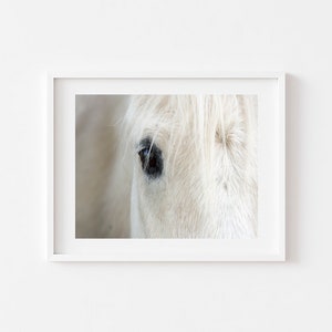 White Horse Print, Icelandic Horse Print, Modern Farmhouse Decor, Boho Printable, Scandinavian Wall Art, Icelandic Horse Close Up, Horse Art image 5
