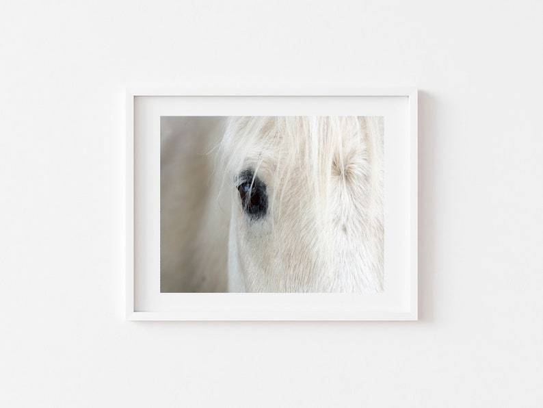White Horse Print, Icelandic Horse Print, Modern Farmhouse Decor, Boho Printable, Scandinavian Wall Art, Icelandic Horse Close Up, Horse Art image 5