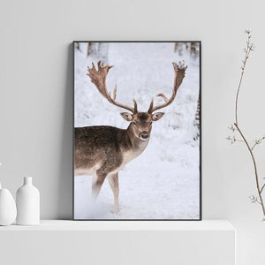 May include: A brown and white deer with large antlers stands in a snowy forest. The deer is looking directly at the camera.