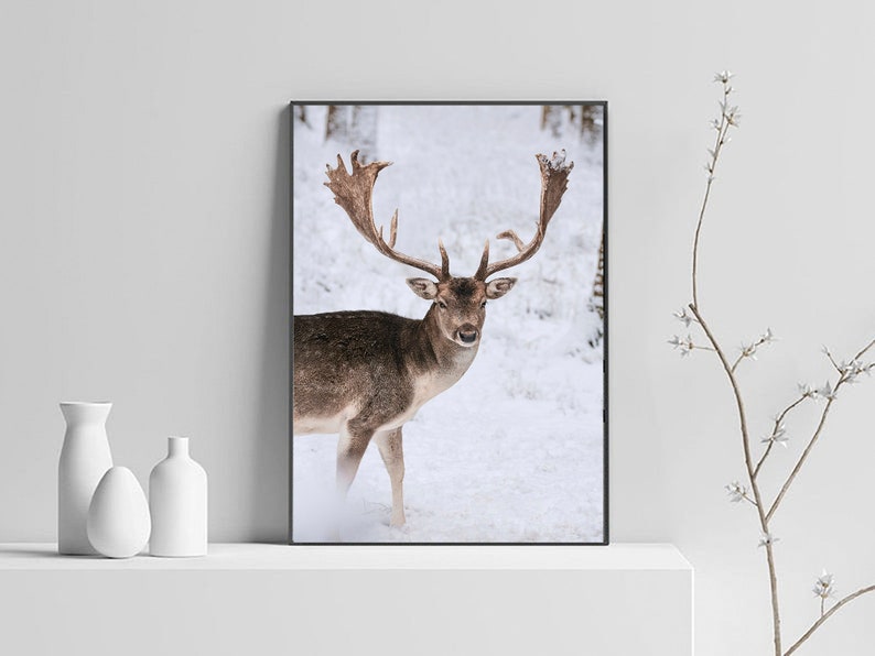 May include: A brown and white deer with large antlers stands in a snowy forest. The deer is looking directly at the camera.