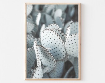 Cactus Print, Cacti Printable Art, Modern Minimalist Poster, Desert Print, Printable Wall Art, Botanical Print, Southwest Arizona Poster