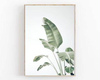 Tropical Leaf Print, Leaf Wall Art, Botanical Print, Tropical Wall Decor, Green Palm Leaf Wall Art, Tropical Plant,Modern Minimalist Poster