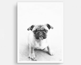 Pug Puppy Portrait Print, Baby Dog Nursery Wall Art (Digital Download)