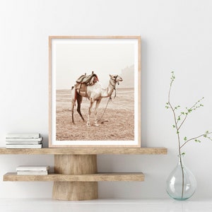May include: A framed photograph of a white camel with a saddle and a rope halter standing in a desert landscape. The camel is facing to the right and the background is a hazy, light brown color.