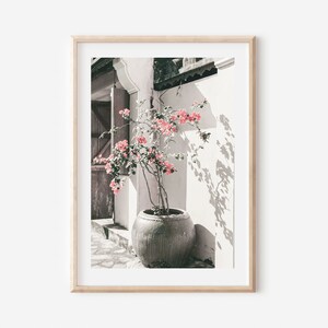 May include: A pink flowering plant in a large gray pot sits in front of a white wall with a wooden door in the background. The plant is in focus, while the background is blurred.
