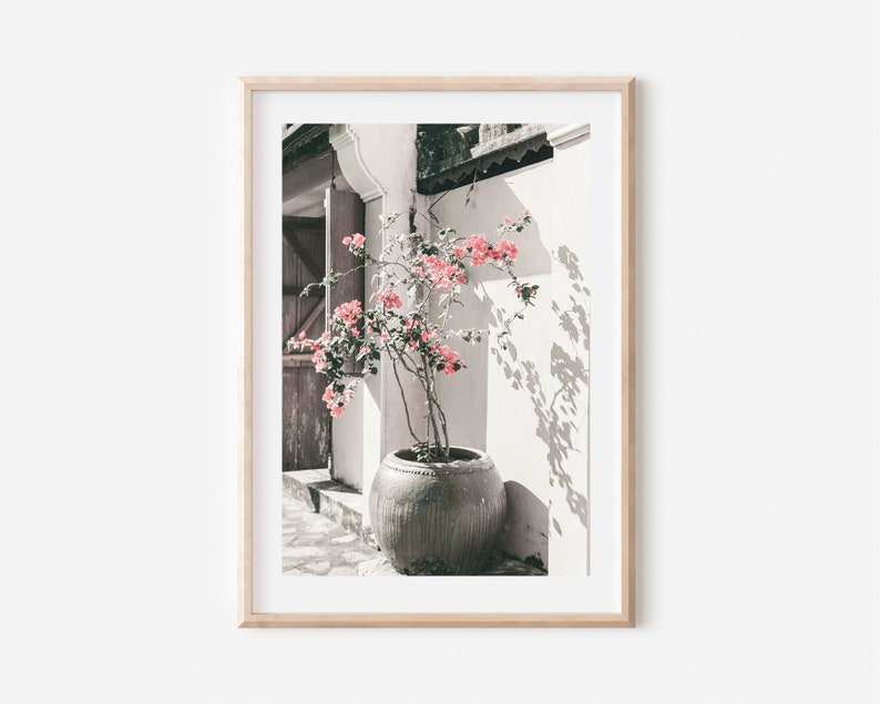 May include: A pink flowering plant in a large gray pot sits in front of a white wall with a wooden door in the background. The plant is in focus, while the background is blurred.