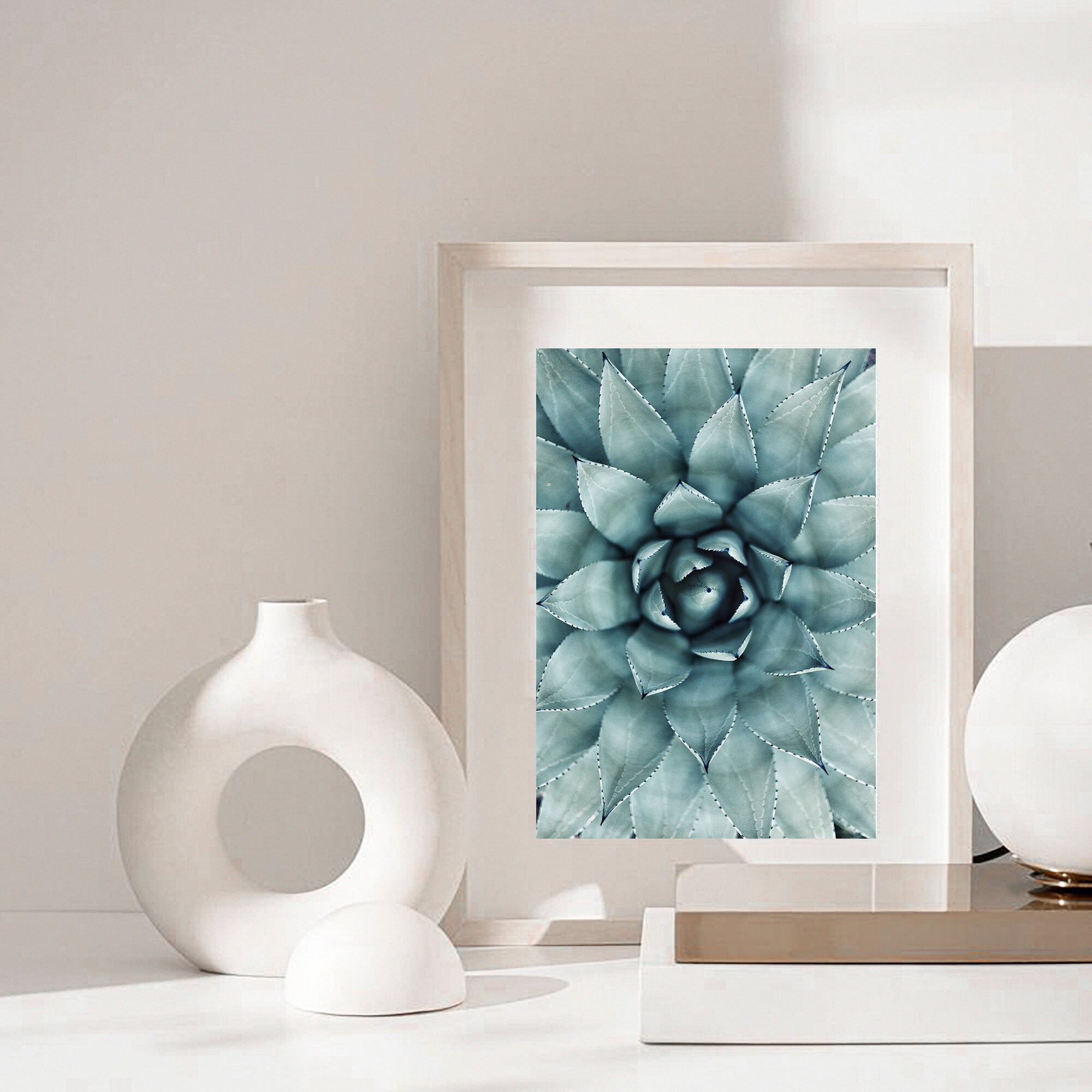 Cactus Succulent Print, Aloe Vera Printable, Botanical Wall Art ...