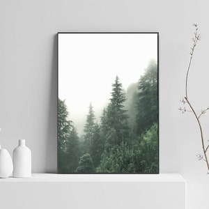 May include: A framed photograph of a misty forest scene with tall evergreen trees. The trees are silhouetted against a white, foggy background.