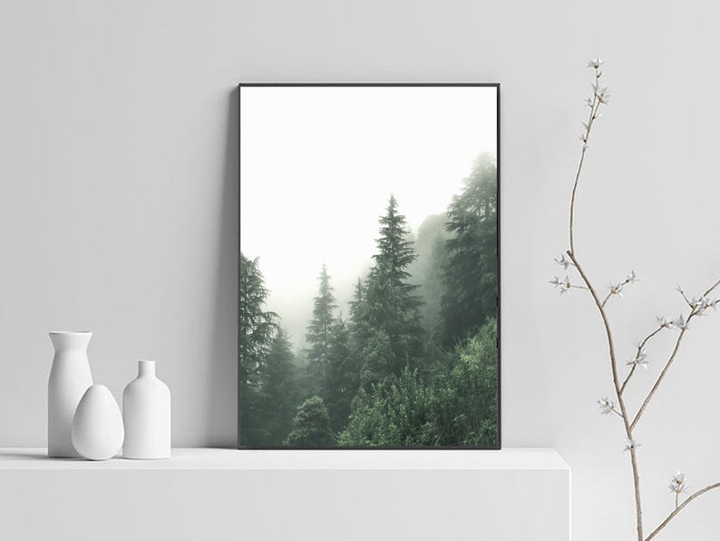 May include: A framed photograph of a misty forest scene with tall evergreen trees. The trees are silhouetted against a white, foggy background.