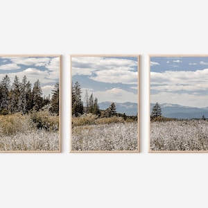 Nature Photography Prints Downloadable Mountain Poster Nature Landscape Wall Art Wildflowers Photography Nature Set 3 Prints Large Wall Art