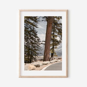 May include: Framed landscape print featuring a scenic view of a mountain road. The image showcases tall, brown-trunked trees, a winding asphalt road, and a backdrop of snow-capped mountains under a cloudy sky. The print is encased in a light-colored wooden frame.