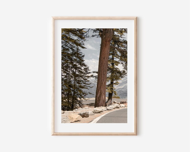 May include: Framed landscape print featuring a scenic view of a mountain road. The image showcases tall, brown-trunked trees, a winding asphalt road, and a backdrop of snow-capped mountains under a cloudy sky. The print is encased in a light-colored wooden frame.