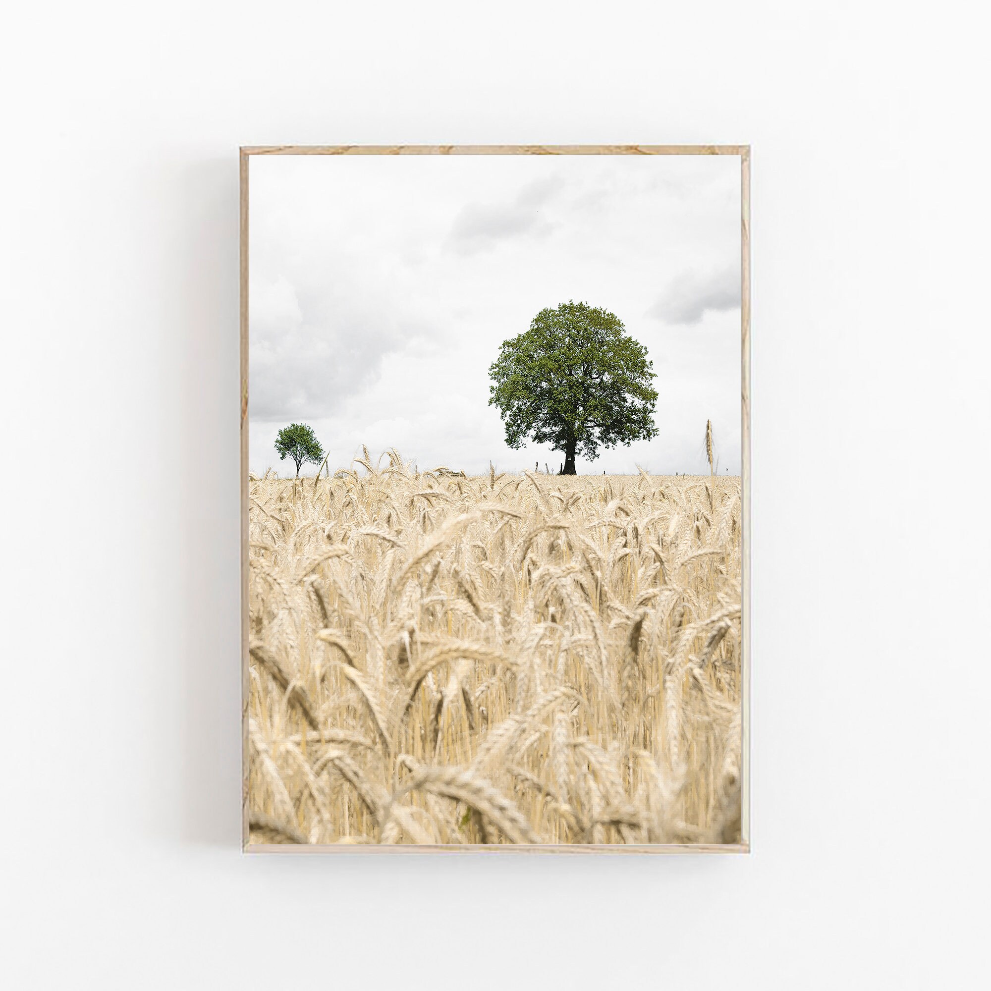 Farmhouse Print Set of 3, Rustic Wall Decor, Nature Wall Decor ...