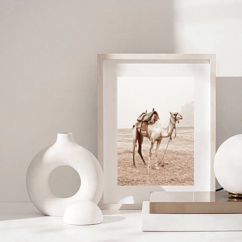 May include: A framed print of a white camel with a saddle in a desert landscape. The print is on a white table with a white vase and a white sphere.