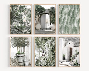 Mediterranean Wall Art Italy Set of 6 Prints Puglia Prints Olive Tree Art Decor Greece Prints Italy Wall Art Green Olive Tree Cactus Print