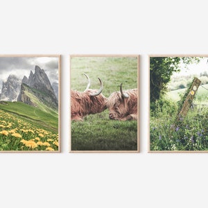 Nature Print Set of 3, Mountain Wall Decor, Forest Photography Set, Flowers Art Print, Nature Gallery Wall Set, Landscape Art Photography