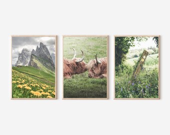 Mountain & Highland Cow Photography Print Set (Digital Download)